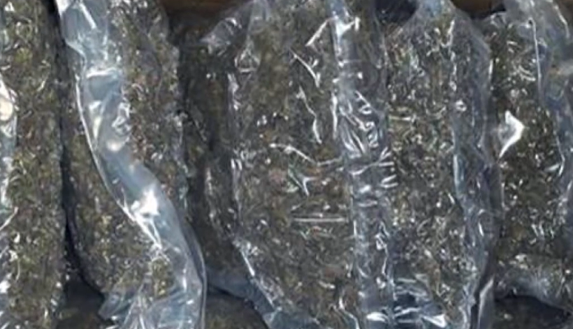 (VIDEO) LSDM kërkon hetim për drogën e Maqedonisë që u kap në Serbi