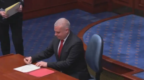 Kuvend, Goce Naumovski u zgjodh gjykatës Kushtetues