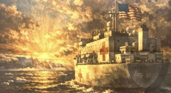 Trump ofron “anije spitalore” për Groenlandën, autoritetet refuzojnë: Shërbimin shëndetësor e kemi falas