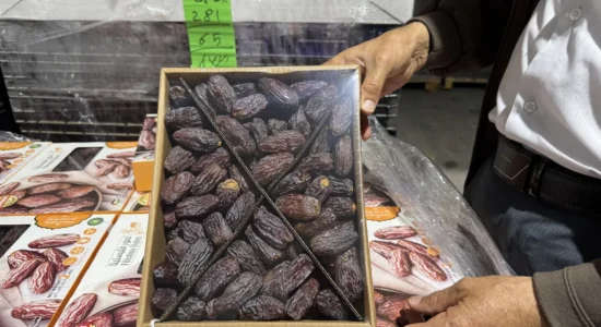 Hurmat izraelite dyshohet se shiten në tregun evropian me etiketa të ndryshme