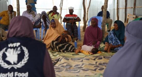 Programi Botëror i Ushqimit paralajmëron Somalinë në prag të përkeqësimit të krizës së urisë