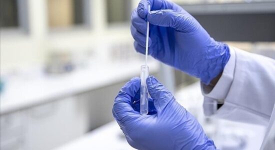 Koreja e Jugut konfirmon 3 raste të tjera me ethet afrikane të derrave, gjithsej 14 në vitin 2026