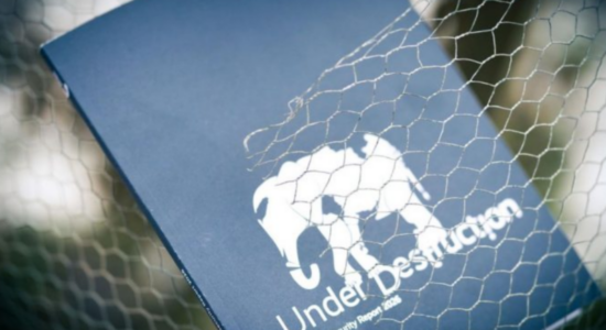 Raporti i Sigurisë së Mynihut 2026: Bota ka hyrë në një epokë të rrezikshme të “politikës së shkatërrimit”