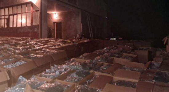 (VIDEO) Sekuestrohen edhe 20 tonë marihuanë në Strumicë, gjithsej mbi 40 tonë
