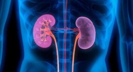 (VIDEO) Rreth 10 % e qytetarëve të RMV-së vuajnë nga sëmundje të veshkëve