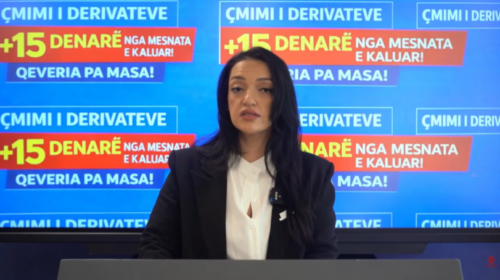 (VIDEO) Shtrenjtimi i derivateve të naftës, opozita akuzon pushtetin për keqmenaxhim të situatës