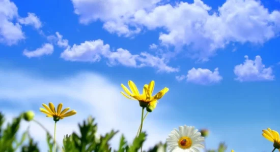 Mot me diell dhe i ngrohtë me temperatura deri 18 gradë