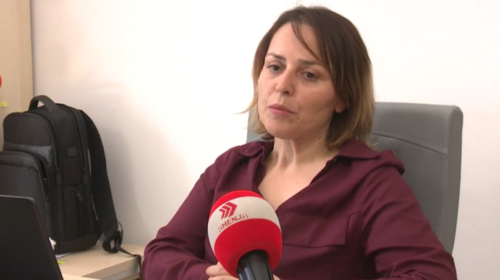 (VIDEO) Psikologia: Nuk janë rritur rastet e dhunës por është rritur raportimi