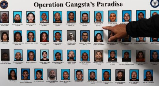 Operacion në Kaliforni, arrestohen 43 anëtarë të mafias meksikane