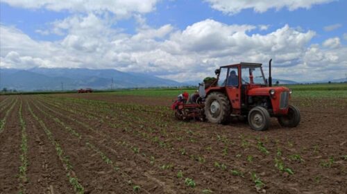 MBPEU: Janë paguar rreth 94 milionë denarë për rreth 2.430 fermerë