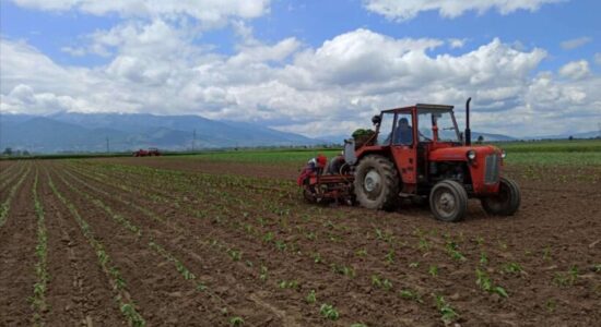 MBPEU: Janë paguar rreth 94 milionë denarë për rreth 2.430 fermerë