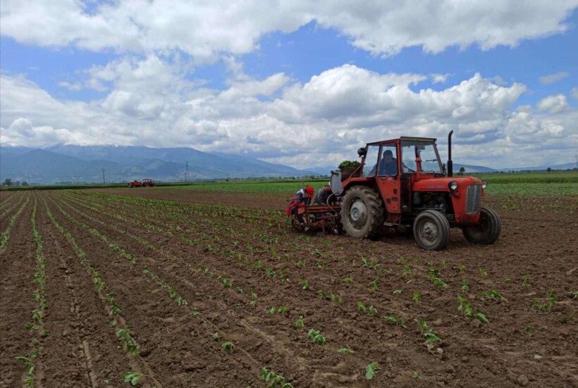 MBPEU: Janë paguar rreth 94 milionë denarë për rreth 2.430 fermerë