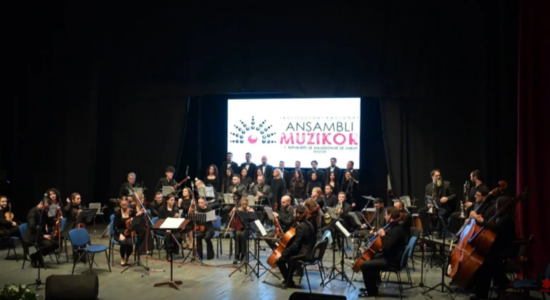 (VIDEO) VLEN: Ansambli i Tetovës nuk do të mbyllet, do të forcohet