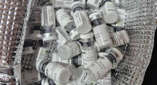 (VIDEO) Gjashtë të dyshuar për botoks fals në paraburgim