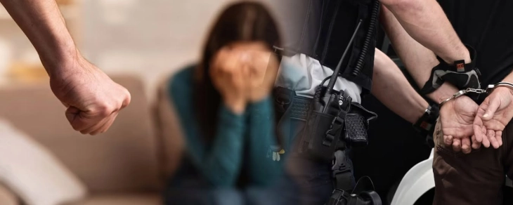 MPB  Gjashtë persona janë privuar nga liria për dhunë familjare gjatë 24 orëve të fundit