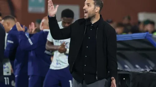 Fabregas refuzon të marrë drejtimin e Italisë