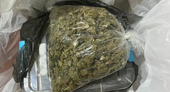 Bastisje në Tetovë, zbulohen lëndë narkotike, ndalohet një i mitur