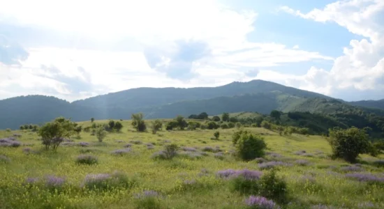 Mot i ndryshueshëm me periudha me diell, vijon mot stabil dhe më i ngrohtë