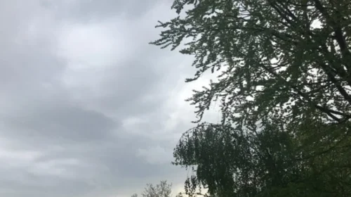 Nga e martja deri të enjten, mot me vranësira dhe reshje shiu