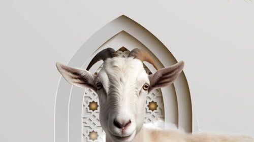 Redaksia e Televizionit SHENJA jua uron Kurban Bajramin!