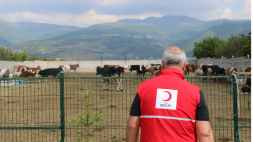 Gjysmëhëna e Kuqe Turke ndan bereqetin e kurbaneve në vendet e Ballkanit