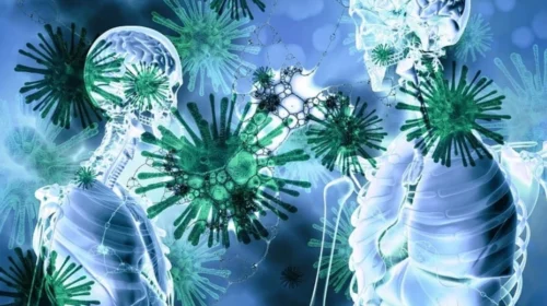 ISHP: Për momentin në Maqedoni nuk ka raste të regjistruara me hantavirus
