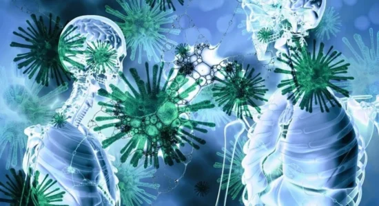 ISHP: Për momentin në Maqedoni nuk ka raste të regjistruara me hantavirus