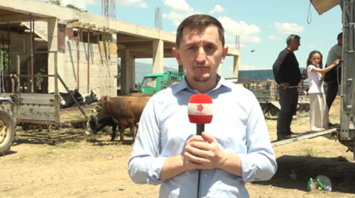 (VIDEO) Interesimi i madh për blerjen e kurbanëve, pavarësisht çmimeve të larta