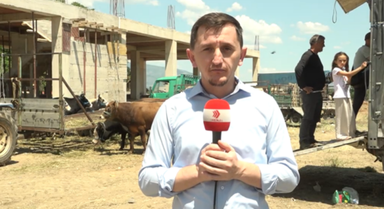 (VIDEO) Interesimi i madh për blerjen e kurbanëve, pavarësisht çmimeve të larta