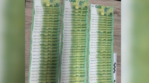 (VIDEO) Konfiskohen 35 mijë euro te një pasagjer në një autobus