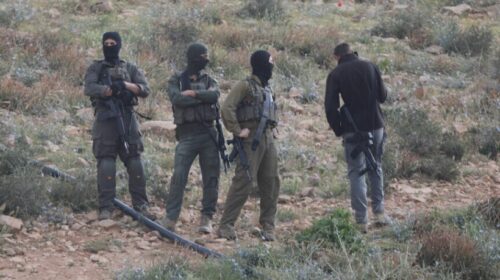 Pushtuesit izraelitë sulmojnë shtëpitë dhe tokat palestineze në të gjithë Bregun Perëndimor të pushtuar