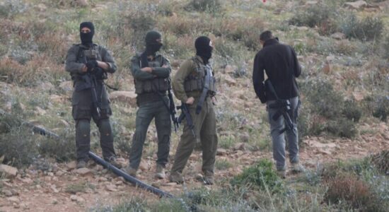 Pushtuesit izraelitë sulmojnë shtëpitë dhe tokat palestineze në të gjithë Bregun Perëndimor të pushtuar