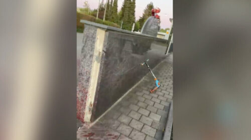 Në Gjermani vandalizohet një xhami, lihet një kokë derri në hyrje