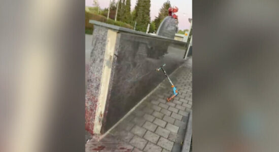 Në Gjermani vandalizohet një xhami, lihet një kokë derri në hyrje