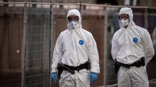 Australia vendos në karantinë 6 pasagjerë për shkak të hantavirusit pas evakuimit nga Holanda