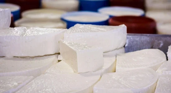 Mashtrim me përmbajtjen e produkteve të qumështit, AUV gjobit disa prodhues dhe importues