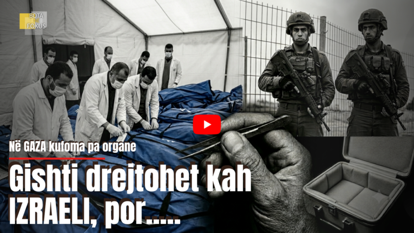 BOTA NË FOKUS | Zbulohet një skandal i tmerrshëm në Gaza!