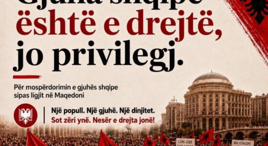 Protestë në Prishtinë në mbrojtje të gjuhës shqipe në RMV