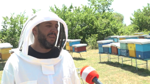 (VIDEO) Bletari Liman Alija rrëfen sekretet e prodhimit të mjaltit cilësor