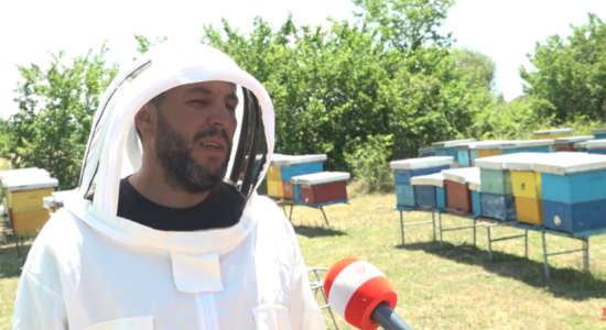 (VIDEO) Bletari Liman Alija rrëfen sekretet e prodhimit të mjaltit cilësor