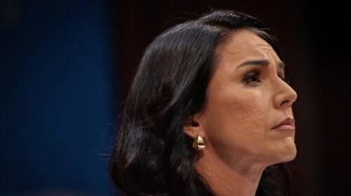Shefja e inteligjencës amerikane publikon dokumente për COVID-19, pretendon se Fauci ka mashtruar Kongresin