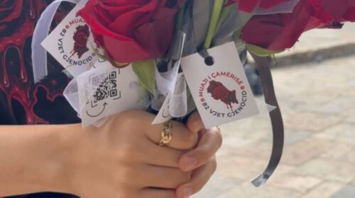 (VIDEO) Muaji i Çamërisë, shpërndahen trëndafilë në Sheshin Skenderbeu në Shkup