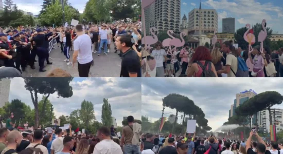 Dita e katërt e protestës kundër projektit në Zvërnec, përplasje mes policisë dhe protestuesve