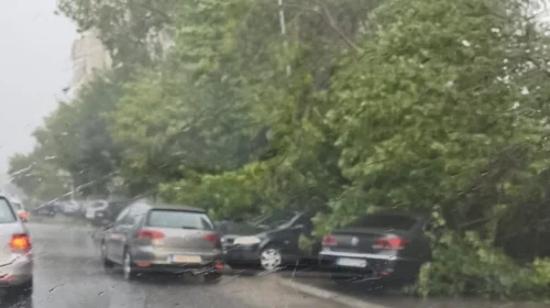 Stuhi e fuqishme godet Shkupin, drunj të rrëzuar dëmtojnë automjete në disa lagje