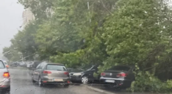Stuhi e fuqishme godet Shkupin, drunj të rrëzuar dëmtojnë automjete në disa lagje