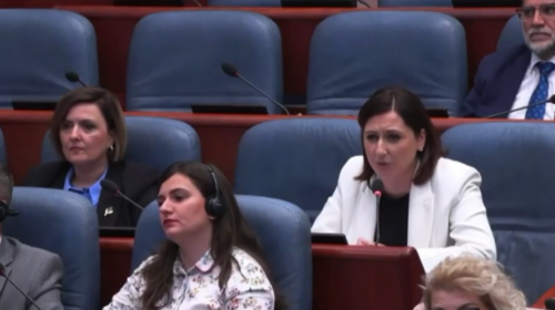 (VIDEO) Stoilkoviq kritikohet gjerësisht për gjuhën fyese ndaj deputetes Pasholli