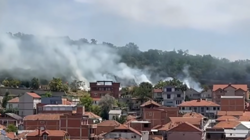 Vendoset nën kontroll një zjarr në Parkun e Gazi Babës