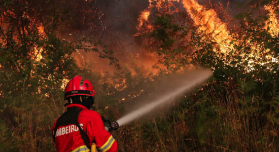 Zjarre masive në Portugali, mbi 1 mijë zjarrfikës në terren për përballimin e flakëve