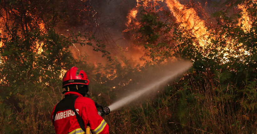 Zjarre masive në Portugali, mbi 1 mijë zjarrfikës në terren për përballimin e flakëve