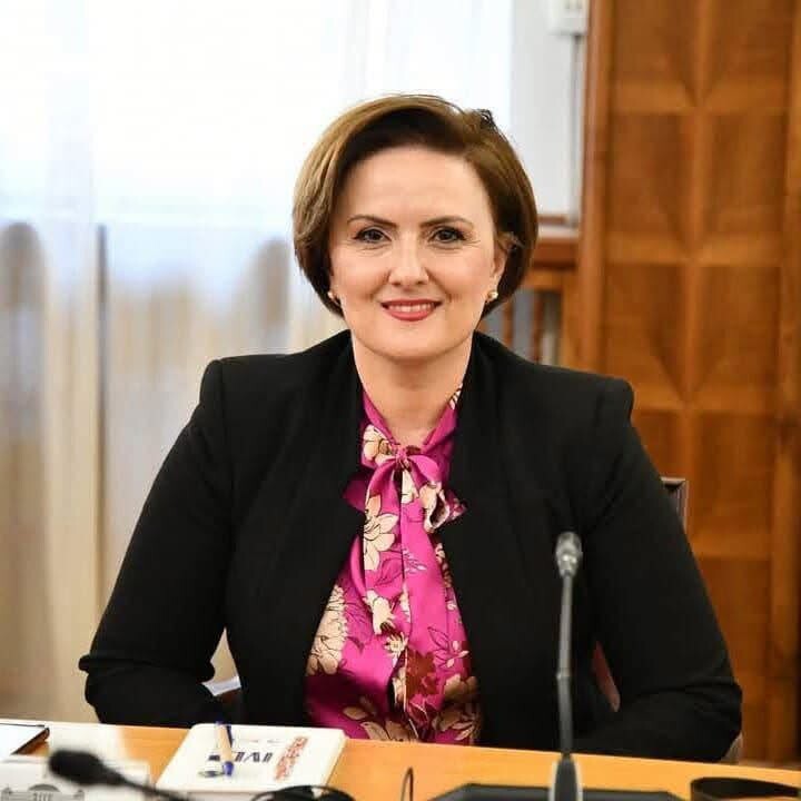 BDI  Sulmi verbal ndaj Arbana Pashollit është pasqyra e mentalitetit politik të Qeverisë pa legjitimitet etnik